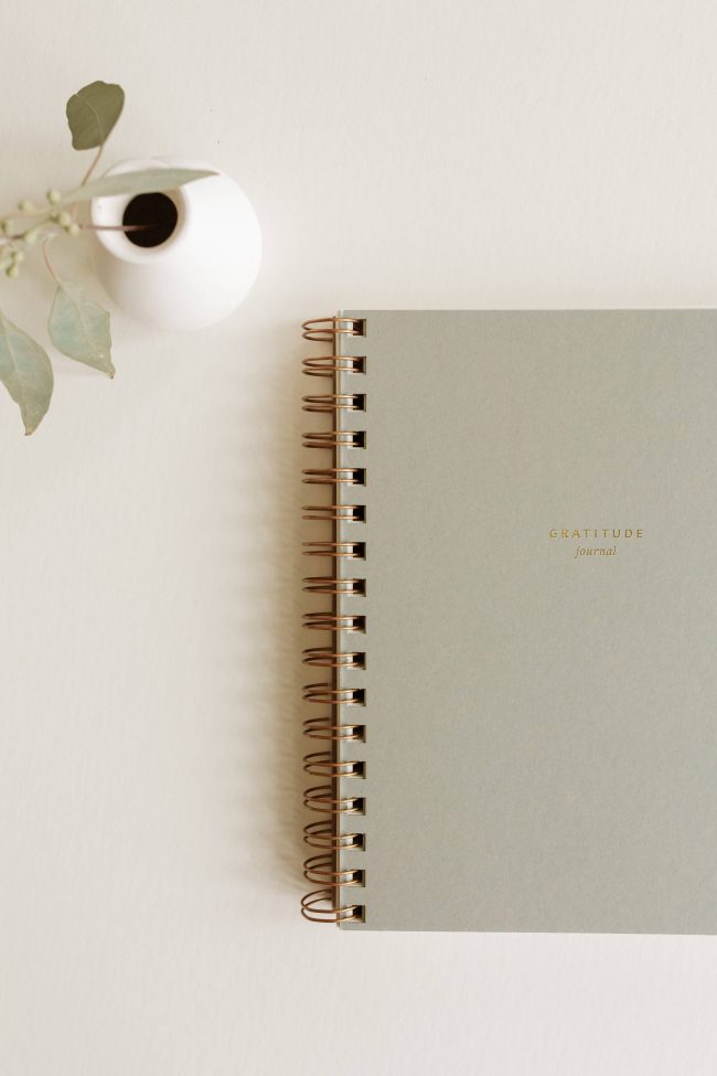 Mini Gratitude Journal | Thoughtful Prompts - Image 7