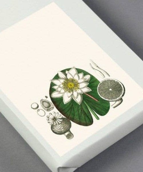 Label and Sticker Book-Flora
